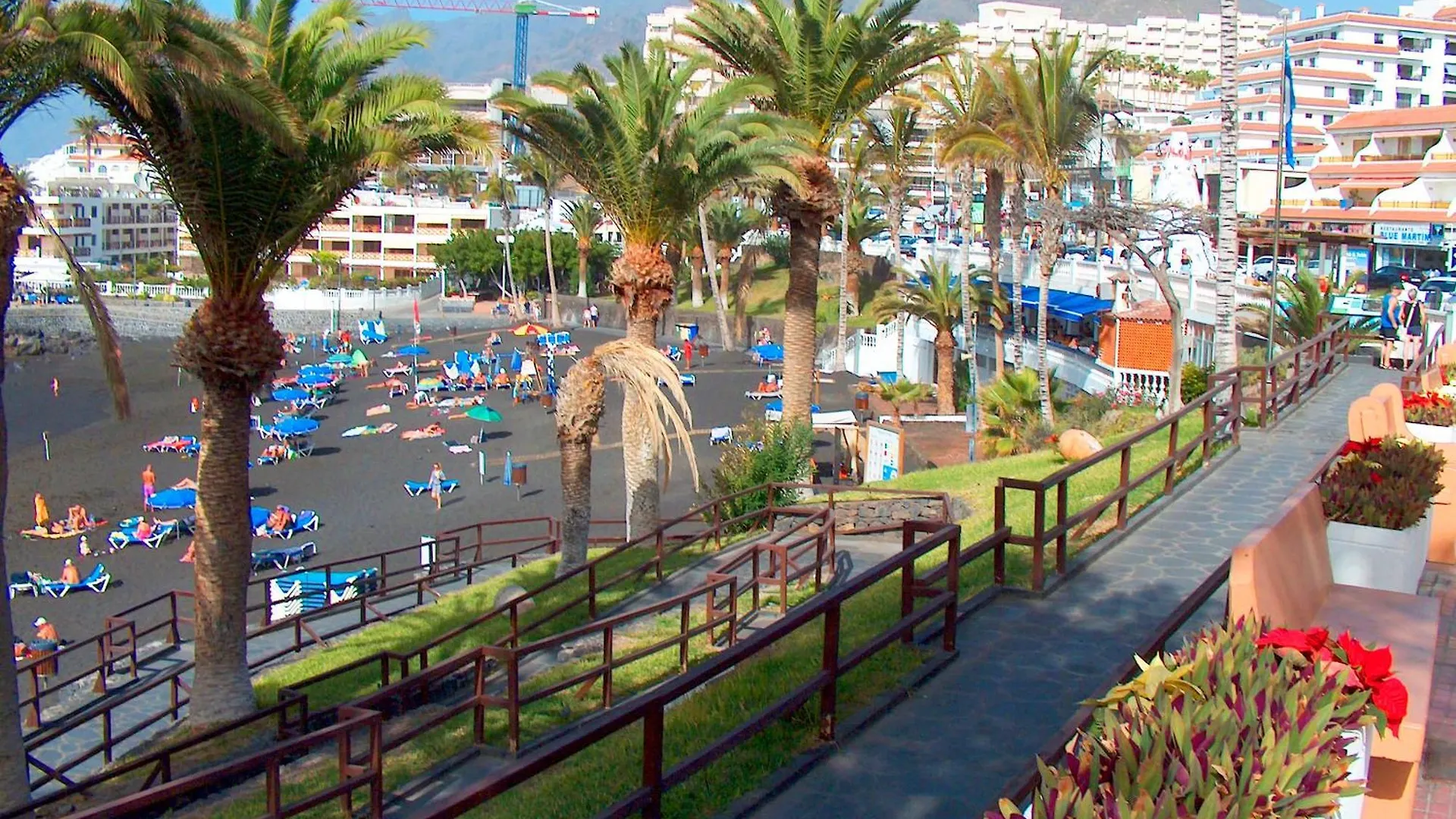 Arena Paradise By Helloapartments Puerto de Santiago  Spain